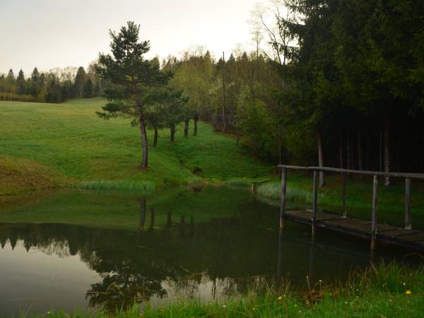 nasz staw w którym mamy pstrągi