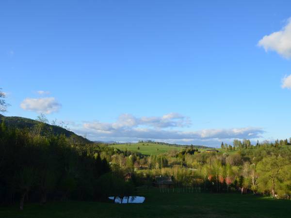 widok z naszej łąki