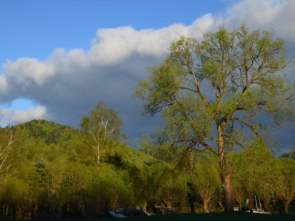 widoki z naszej posesji