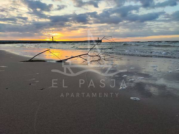 Elpasja - Apartamenty Mrzeżyno