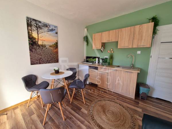 Aneks kuchenny w apartamencie kaktus