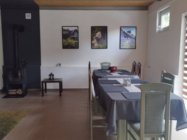 Siedlisko ,,Zenówka''