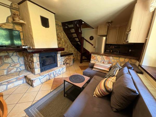 Domek nad górskim potokiem (u Doroty)