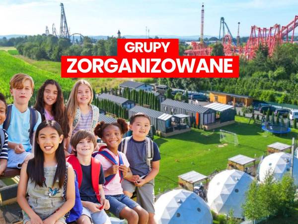 Grupy Zorganizowane