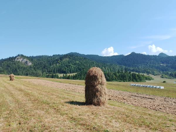 Agroturystyka Pod Zamczyskiem 