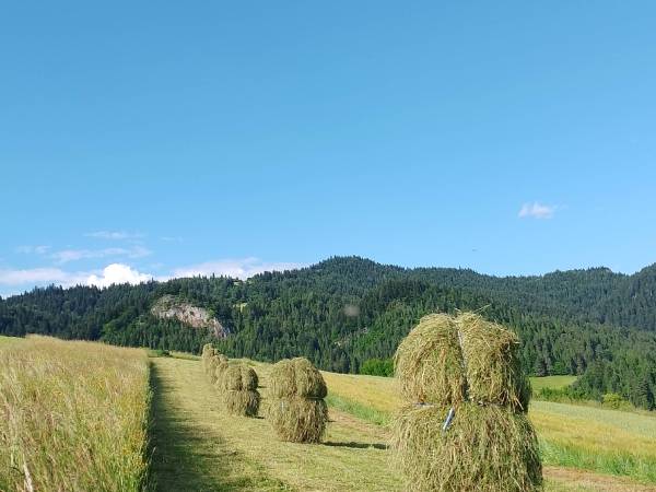 Agroturystyka Pod Zamczyskiem 