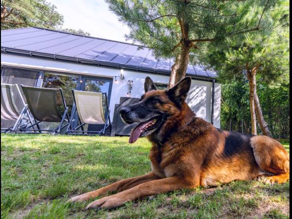 NAREV Domy Wakacyjne