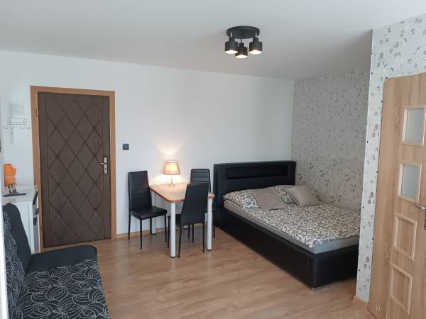 Pokój 2-3. osob. z łazienką i tarasem. Srebrny