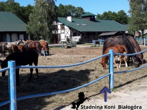 Pokoje Gościnne Kinga