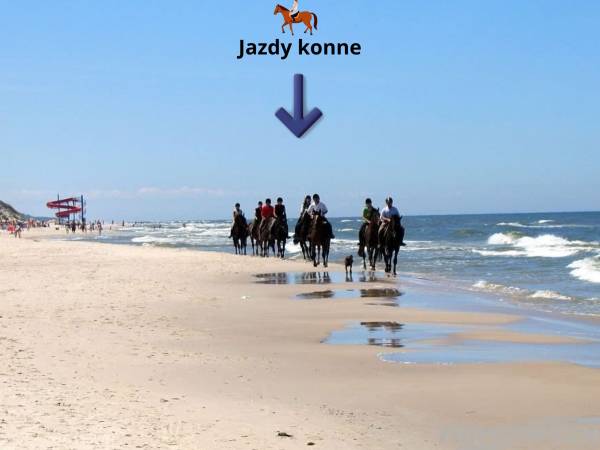 Pokoje Gościnne Kinga