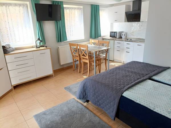 Pokój z aneksem kuchennym