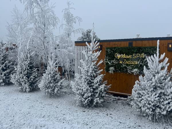 Domki Całoroczne Noclegi Zacisze Bałtów