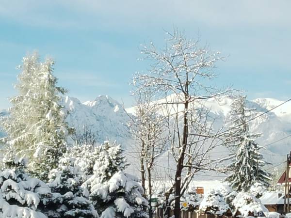 Apartament przy Obelisku