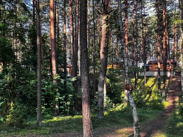 Wpadnij do lasu , domki nad jeziorem 