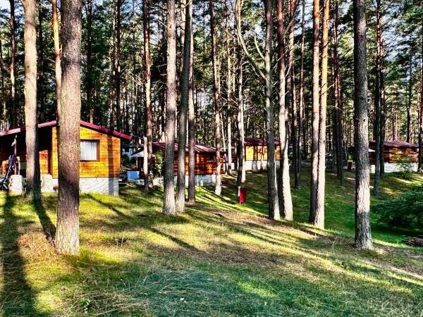 Wpadnij do lasu , domki nad jeziorem 