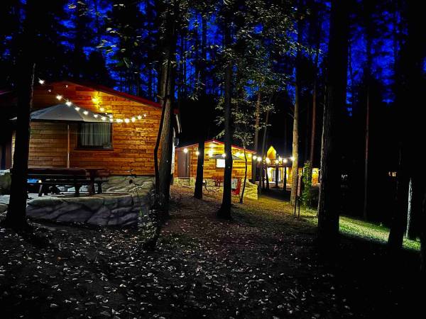 Wpadnij do lasu , domki nad jeziorem 