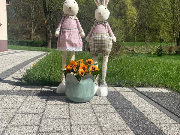 Apartament w Błażkowej 