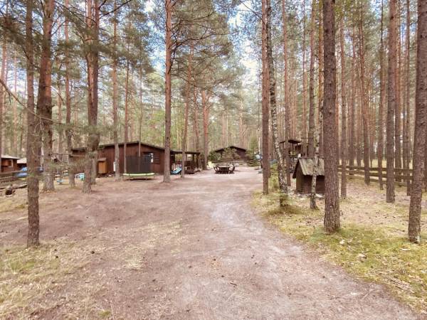 Wpadnij do lasu , domki nad jeziorem 