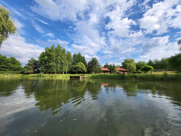 Dębowa Ostoja - domki agroturystyczne nad stawem