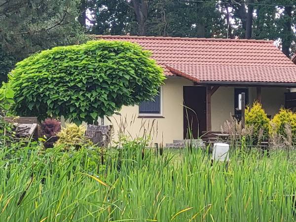 Dębowa Ostoja - domki agroturystyczne nad stawem
