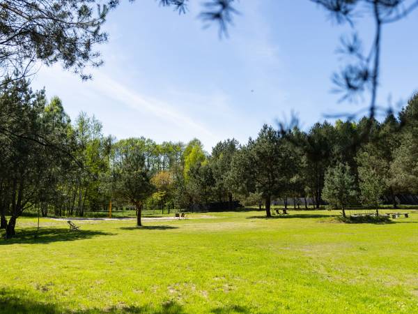 Camping Skansen Zdbice - Domki letniskowe