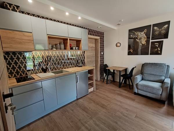 Aster Aparts Wyspa Sobieszewska 