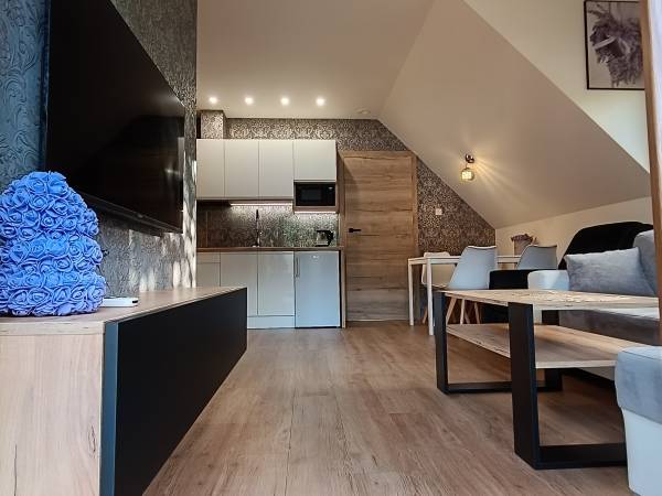 Aster Aparts Wyspa Sobieszewska 