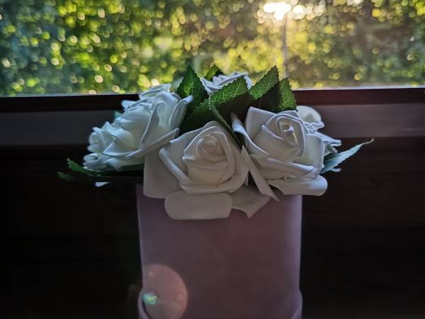 Aster Aparts Wyspa Sobieszewska 