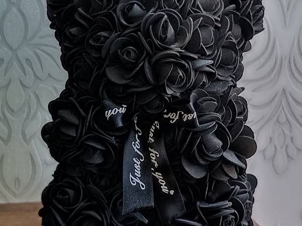 Aster Aparts Wyspa Sobieszewska 