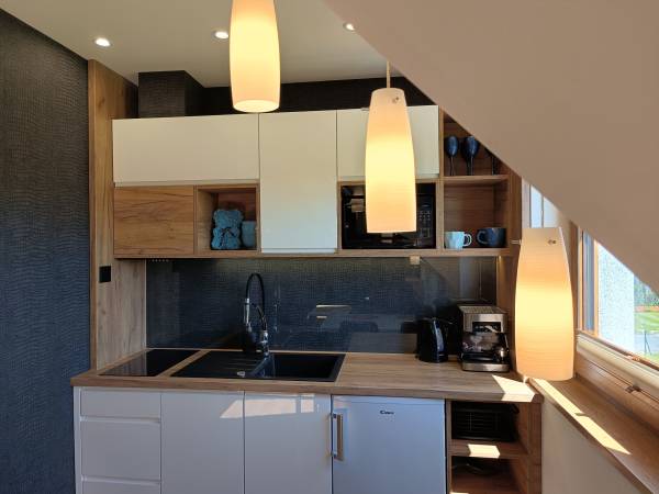 Aster Aparts Wyspa Sobieszewska 