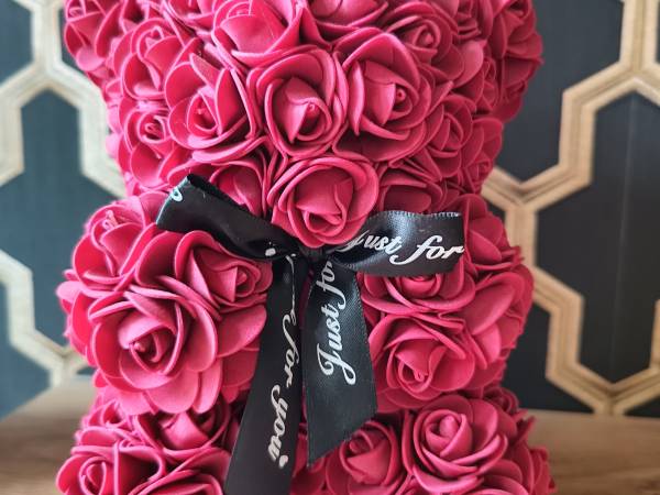 Aster Aparts Wyspa Sobieszewska 