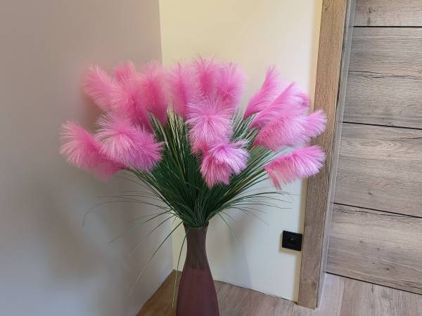 Aster Aparts Wyspa Sobieszewska 