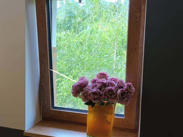 Aster Aparts Wyspa Sobieszewska 