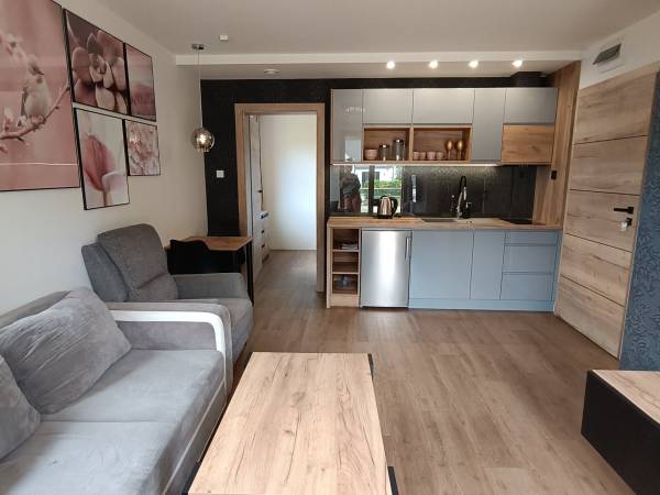 Aster Aparts Wyspa Sobieszewska 