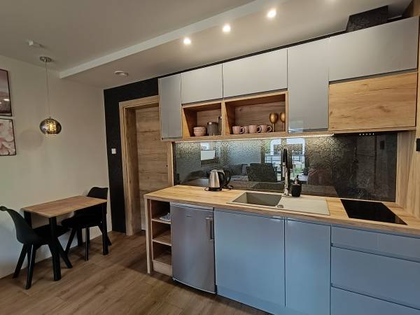 Aster Aparts Wyspa Sobieszewska 