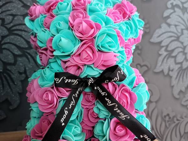 Aster Aparts Wyspa Sobieszewska 