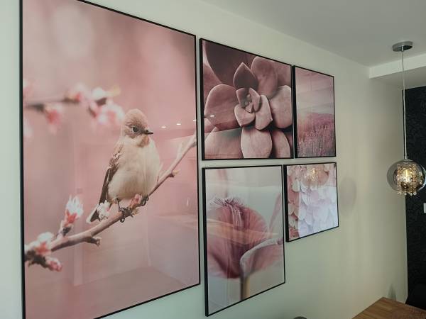 Aster Aparts Wyspa Sobieszewska 