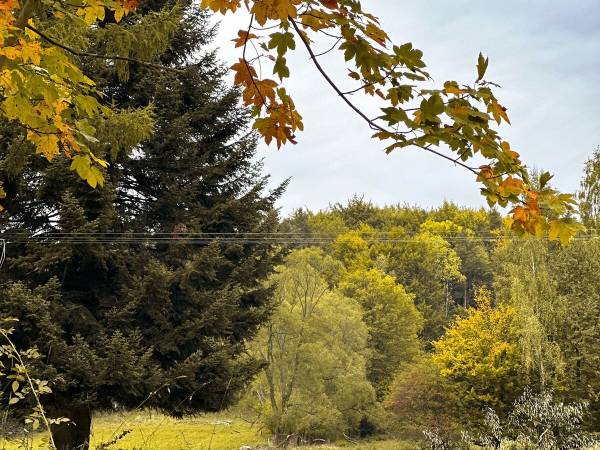 U Źródeł Strwiąża