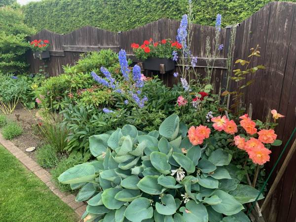 Wynajem Pokoi Paprotka