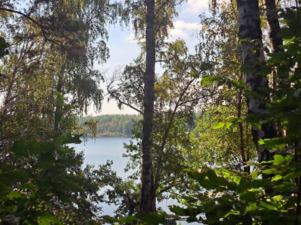 Przyleśne Chatki Blisko Jeziora - Mazury