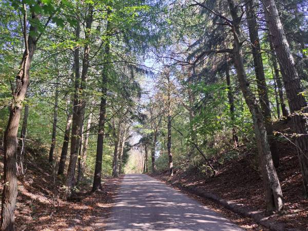 Przyleśne Chatki Blisko Jeziora - Mazury
