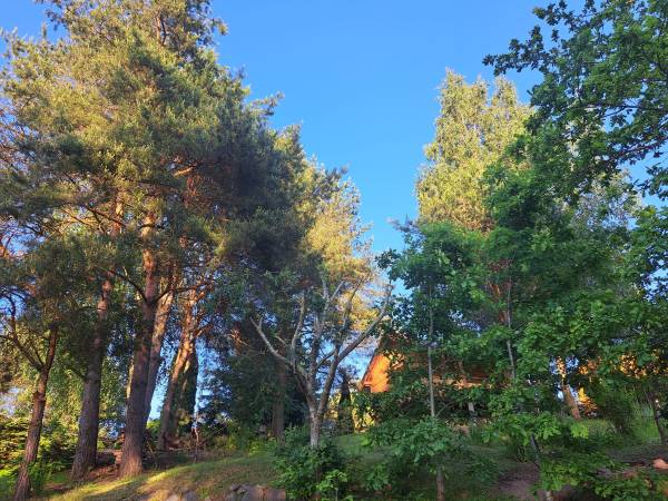 Przyleśne Chatki Blisko Jeziora - Mazury