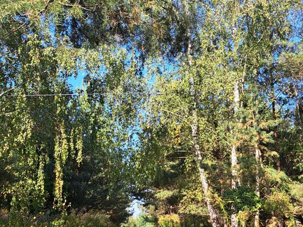 Przyleśne Chatki Blisko Jeziora - Mazury