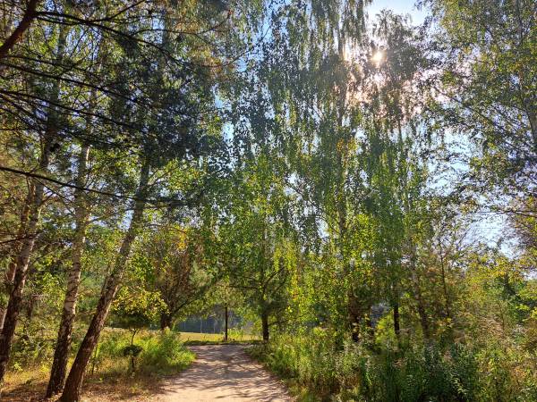 Przyleśne Chatki Blisko Jeziora - Mazury