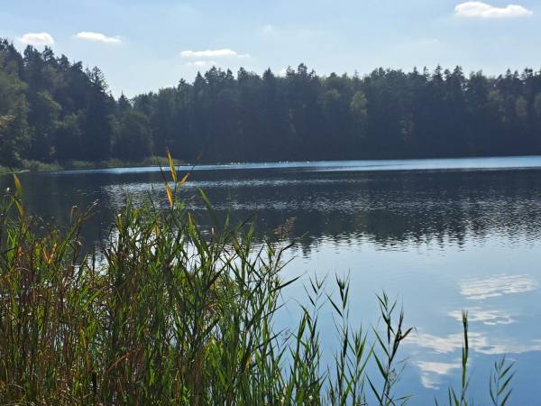 Przyleśne Chatki Blisko Jeziora - Mazury