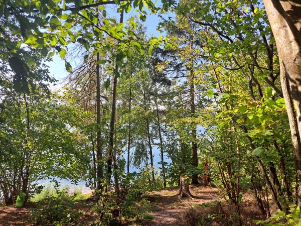 Przyleśne Chatki Blisko Jeziora - Mazury