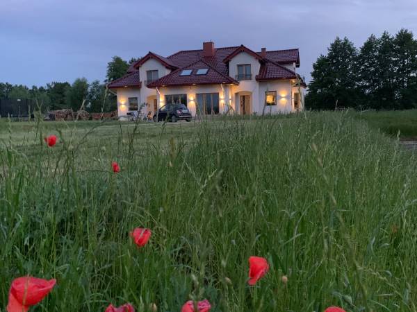 Dworek pod wierzbami