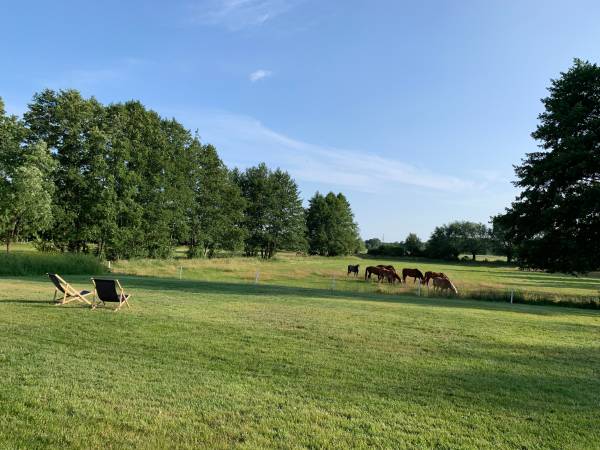 Dworek pod wierzbami