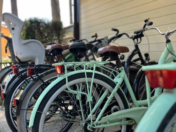 Sosenkowo Domki letniskowe 