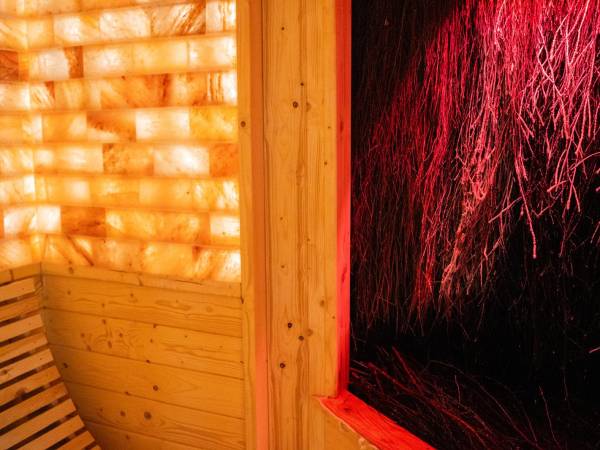 Apartament Szumiący Las